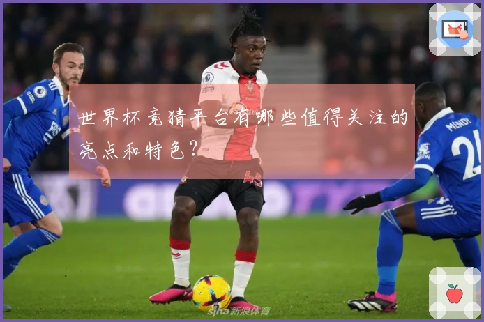 世界杯竞猜平台有哪些值得关注的亮点和特色？