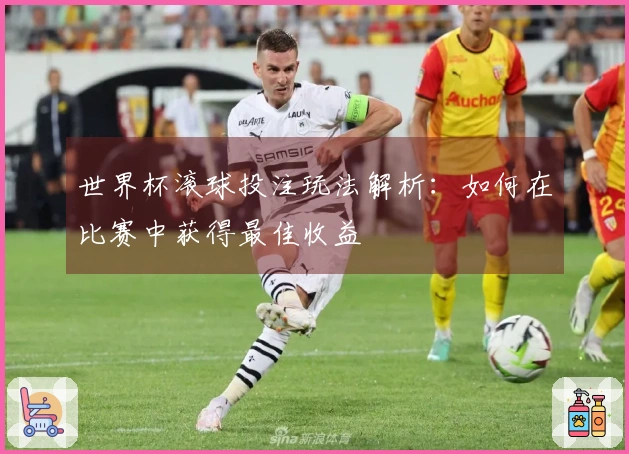 世界杯滚球投注玩法解析：如何在比赛中获得最佳收益