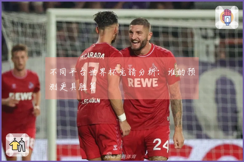 不同平台世界杯竞猜分析：谁的预测更具胜算