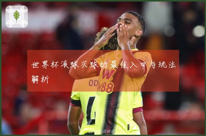 世界杯滚球买球的最佳入口与玩法解析