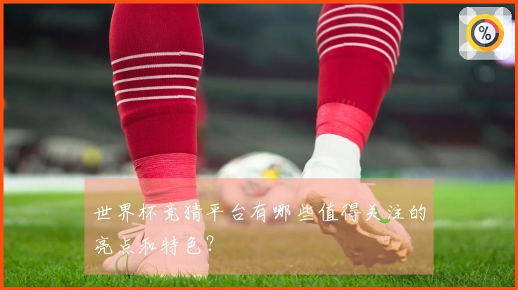 世界杯竞猜平台有哪些值得关注的亮点和特色？