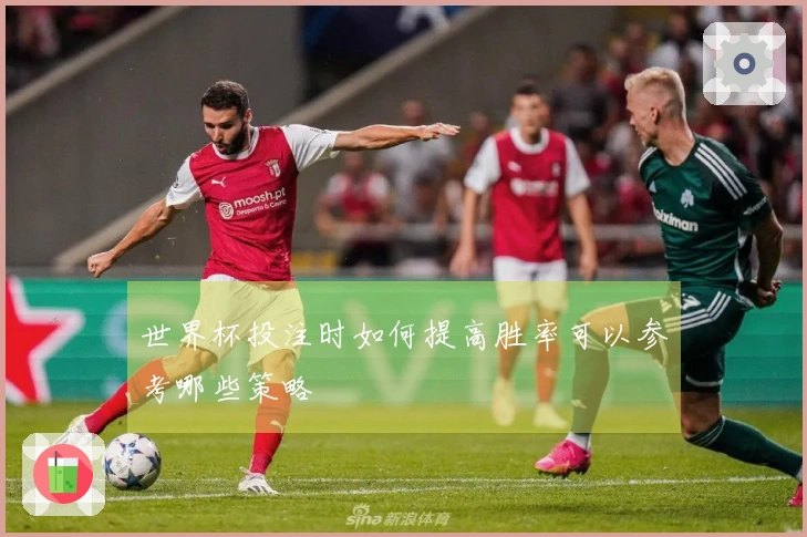 世界杯投注时如何提高胜率可以参考哪些策略