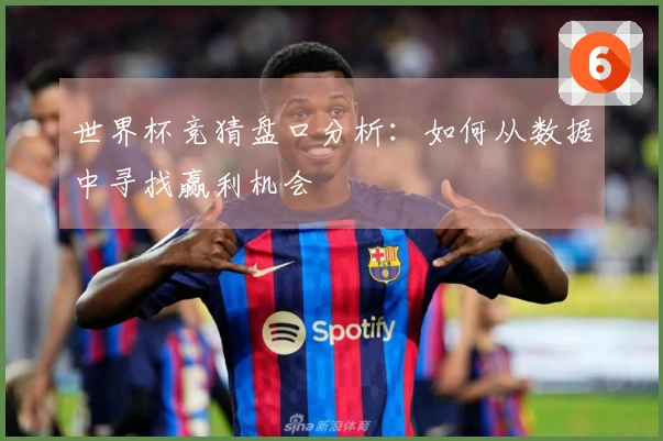 世界杯竞猜盘口分析：如何从数据中寻找赢利机会