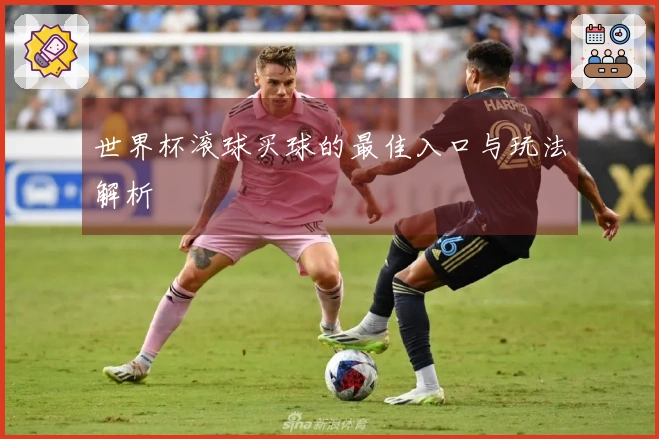 世界杯滚球买球的最佳入口与玩法解析