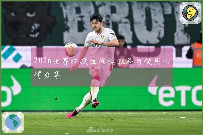 2026世界杯投注网站推荐与使用心得分享